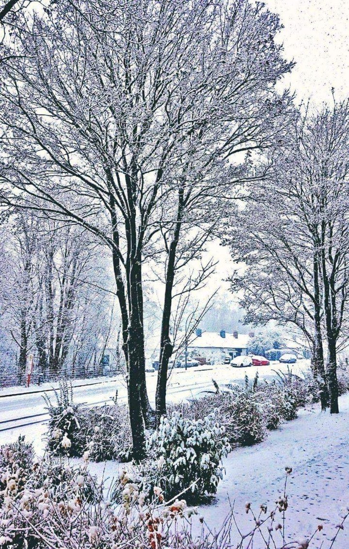 Schnee