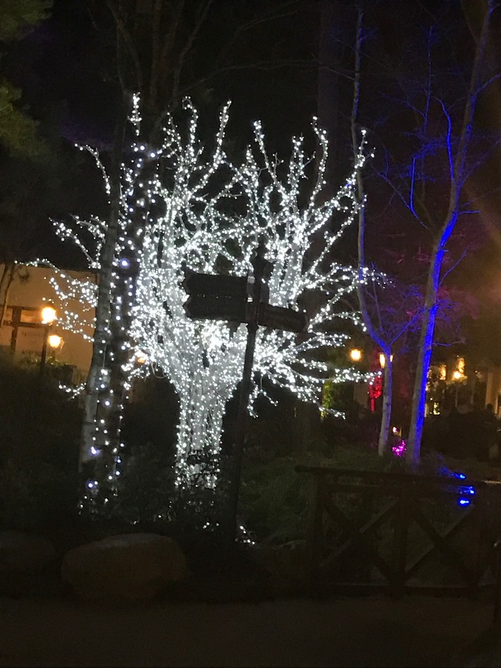 tree