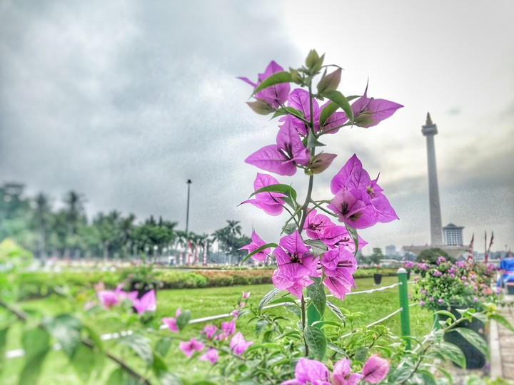 Monas Jakara Indonesia