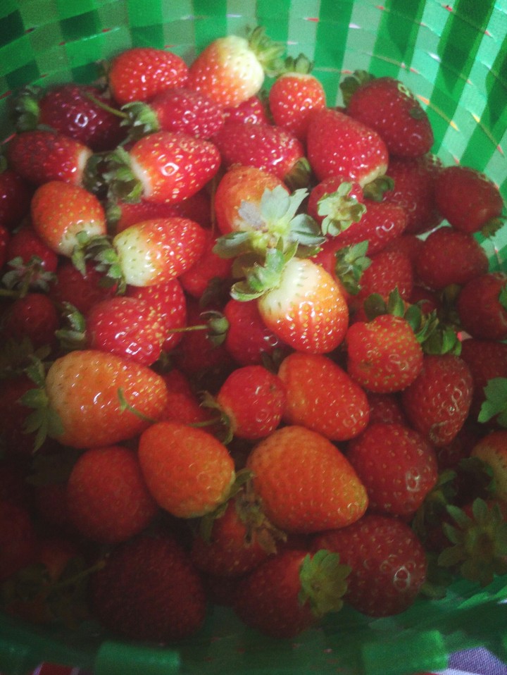 natureza