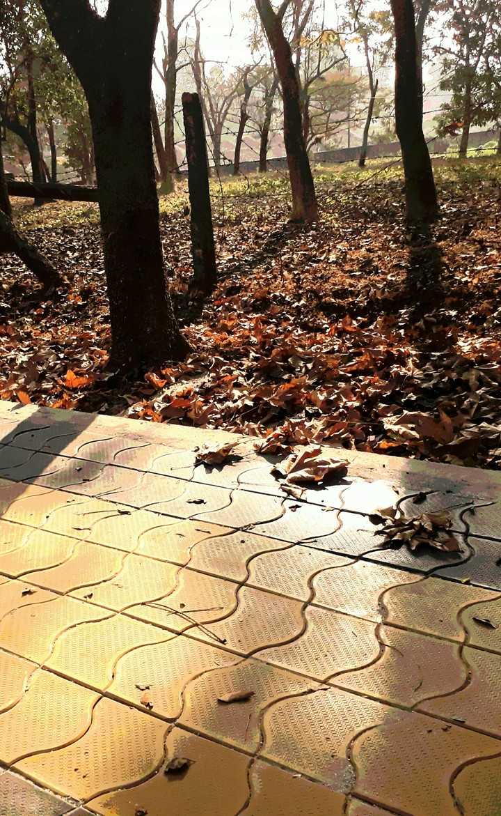 Footpath