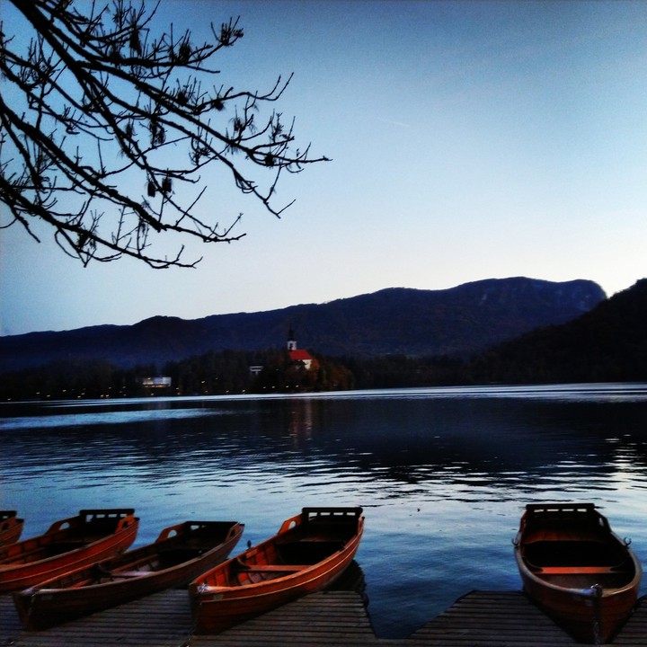 Bled