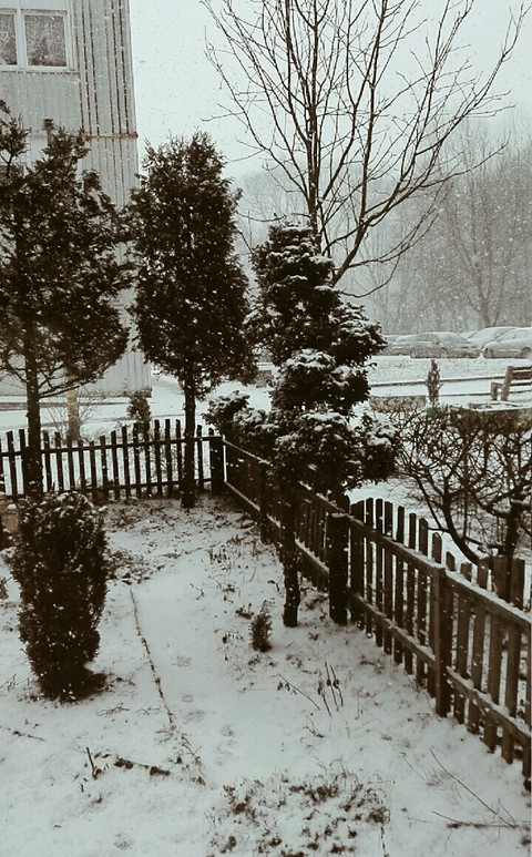 blizzard, neighbourhood वॉलपेपर