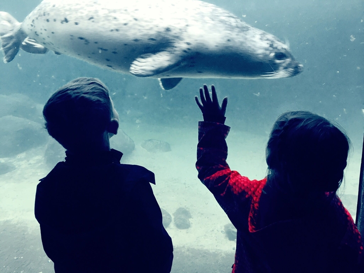 Oceantime