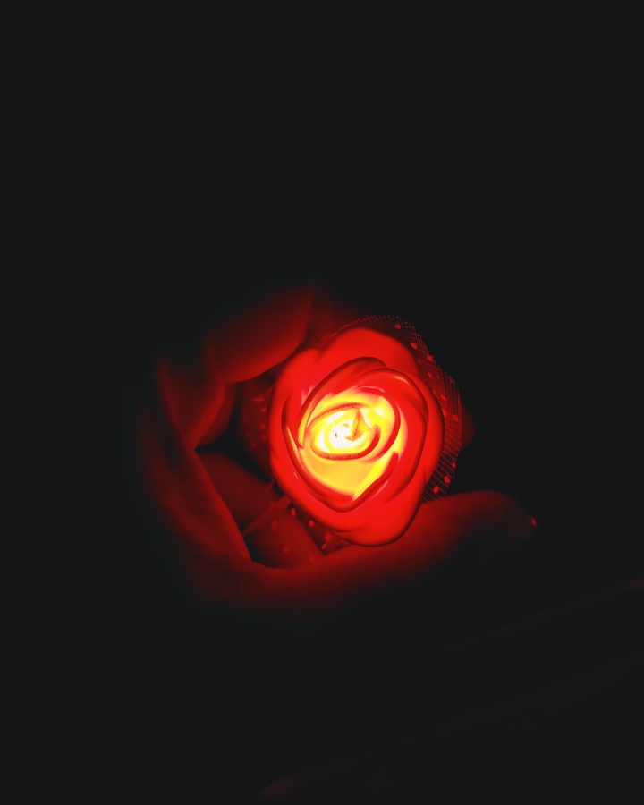 rose