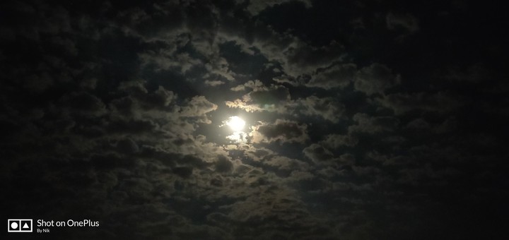night