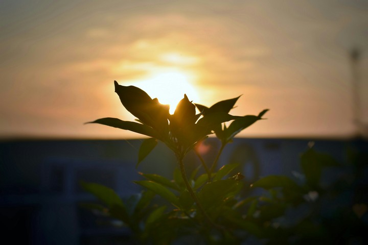 sunrise 3