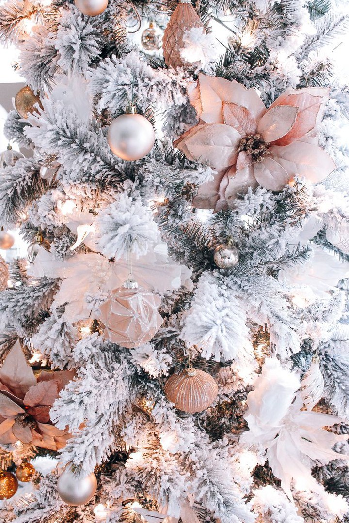 ❄️?