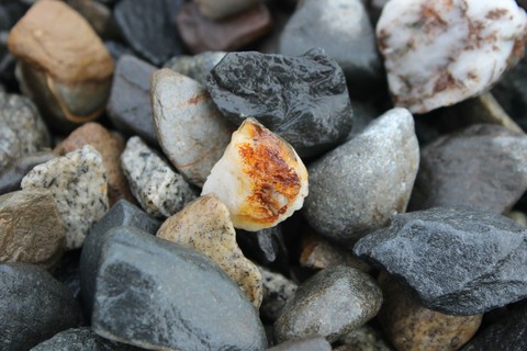 Quartz and Stone
