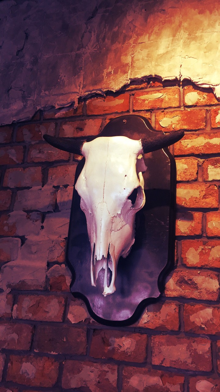 Stark animal