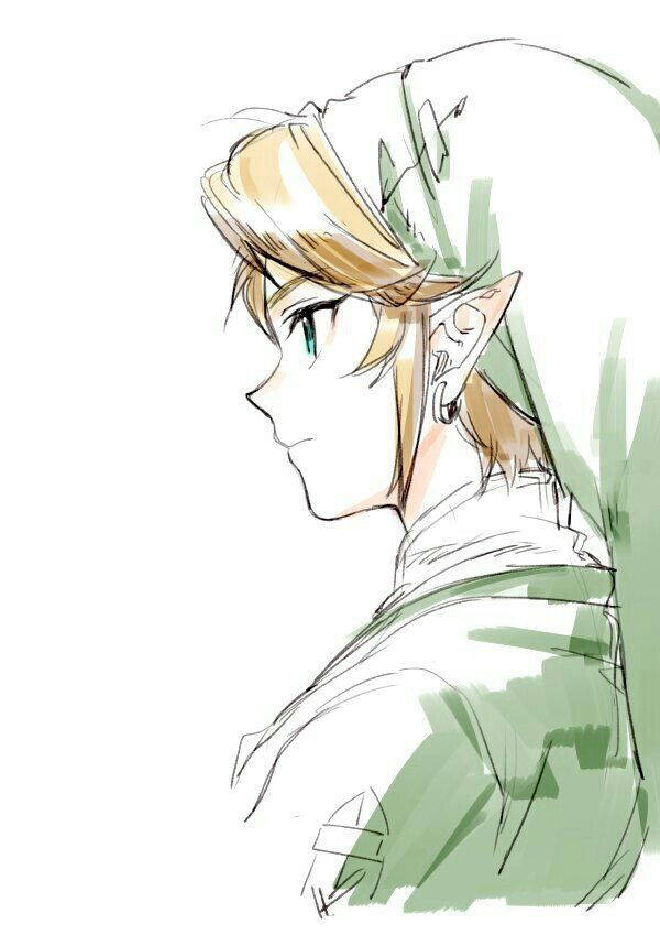 Link "Twilight Princess"