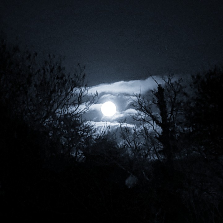 Moonlight