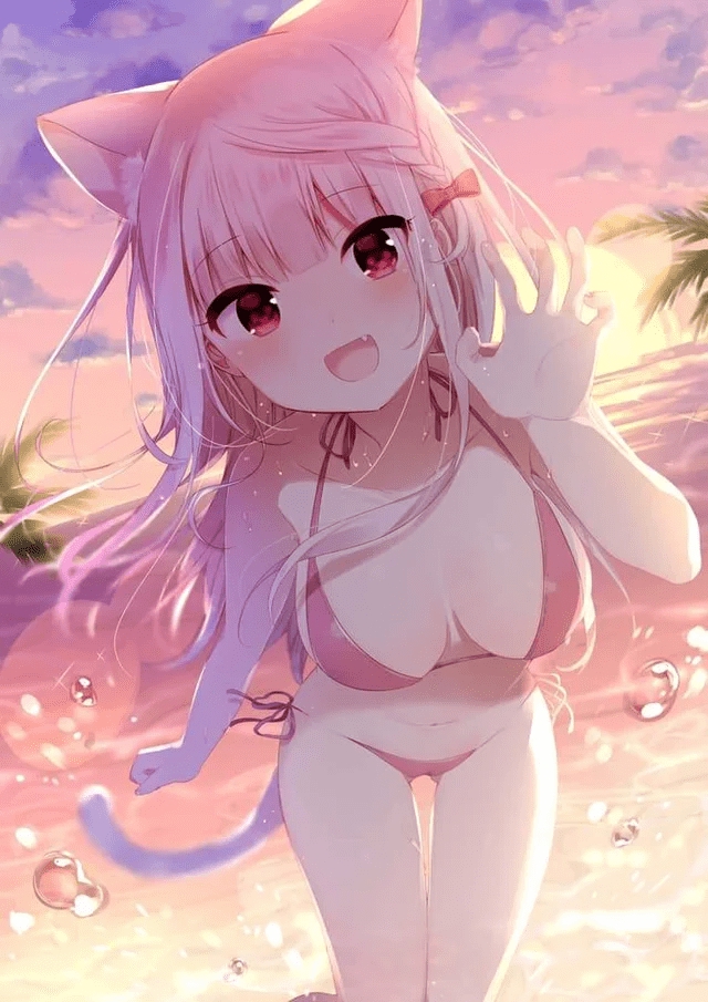 pé mèo cute