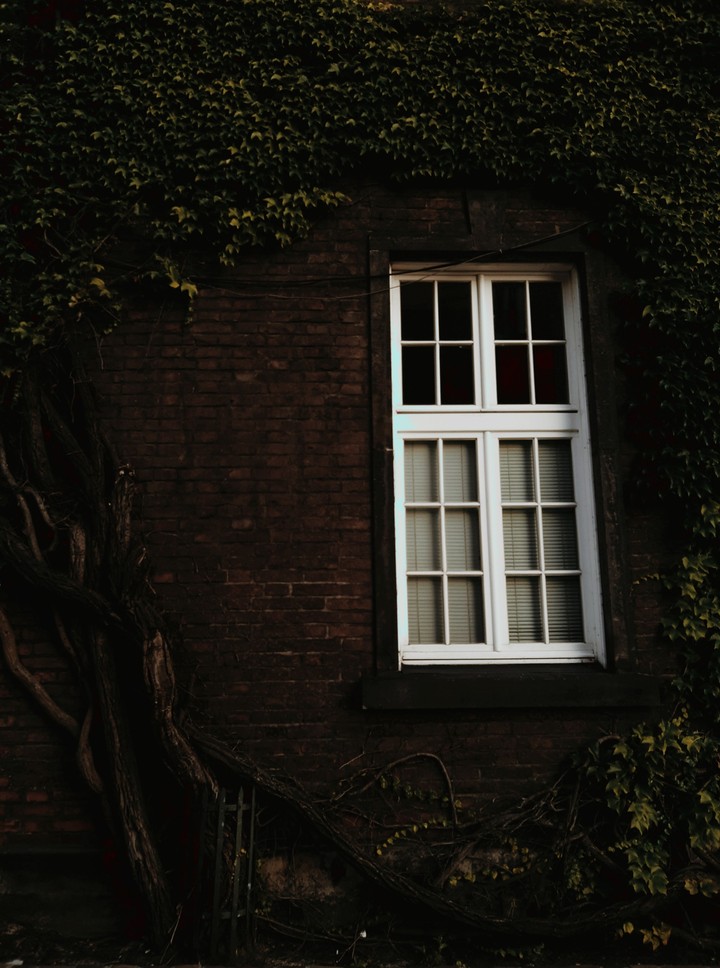 window