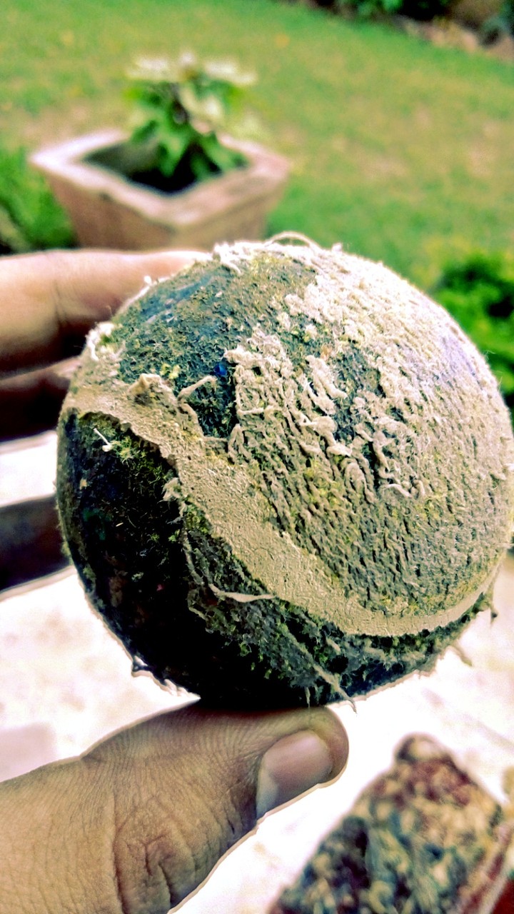Ball