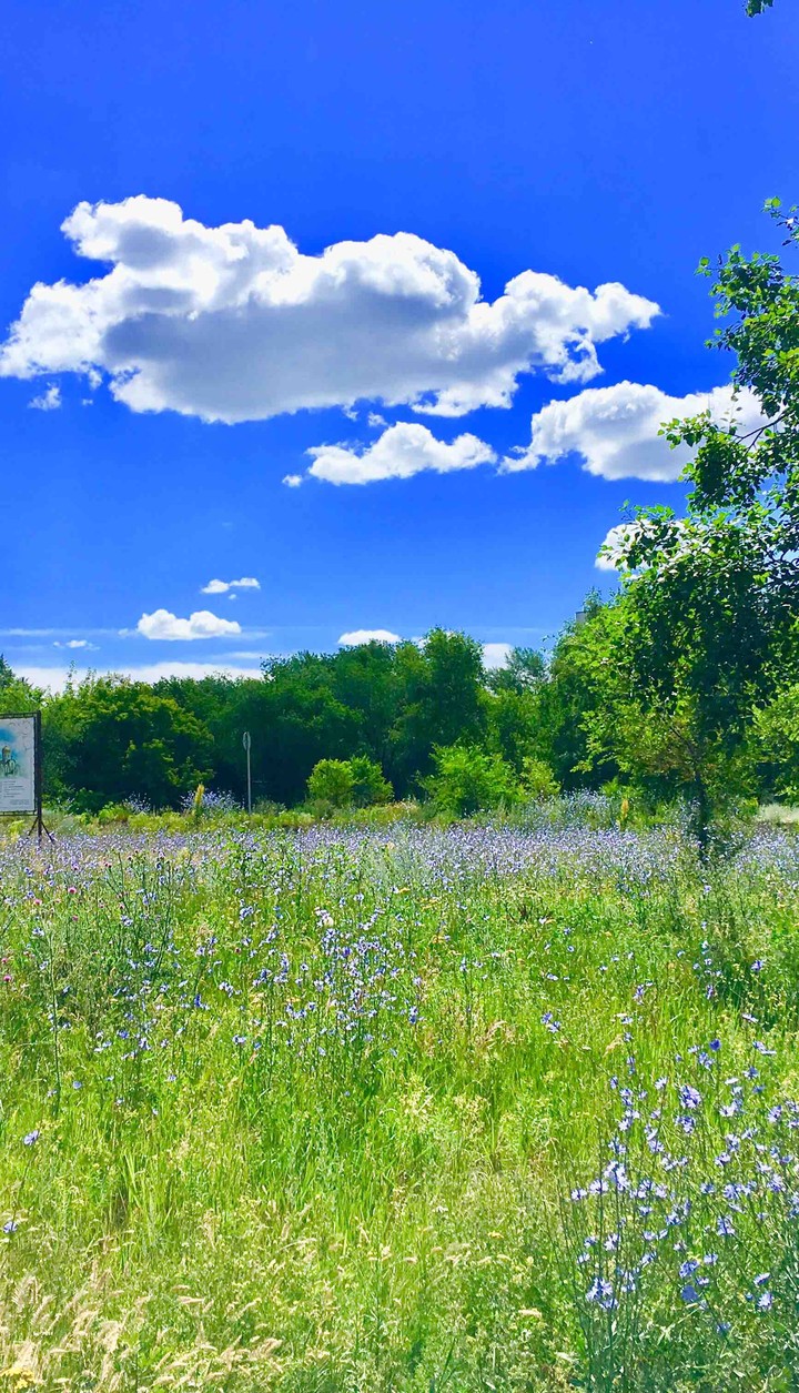 nature Russia