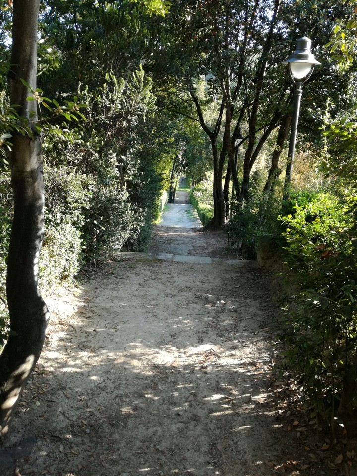 Viale nella natura