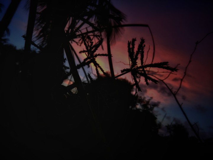 natures beauty