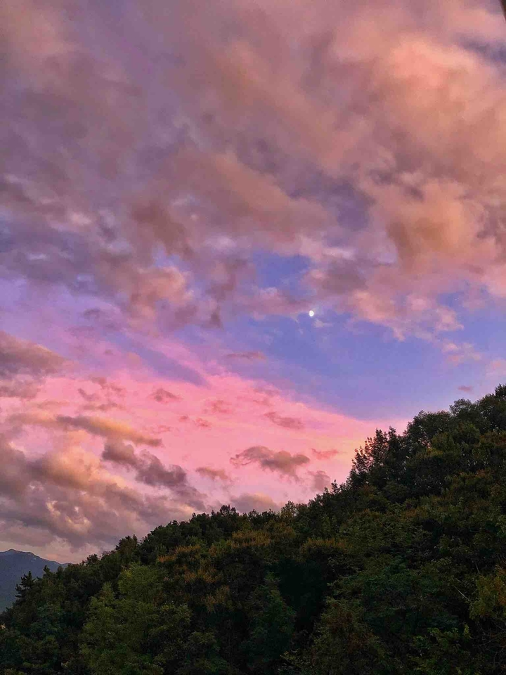 달빛