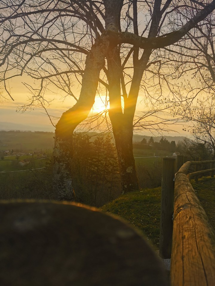 Sur le chemin du retour