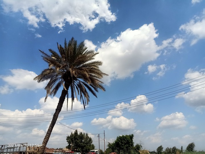 sky egypt