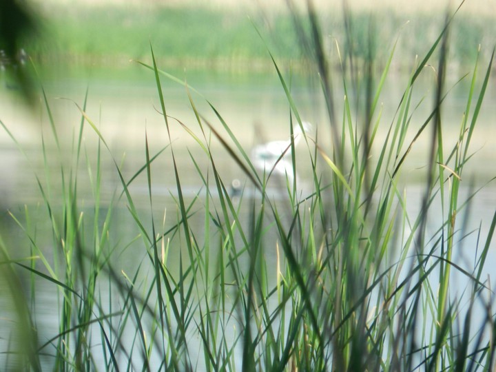 lake