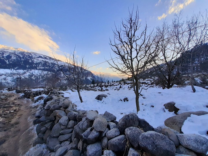 snowy capture