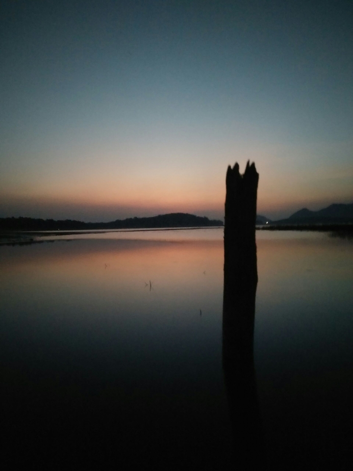 stick with DAWN