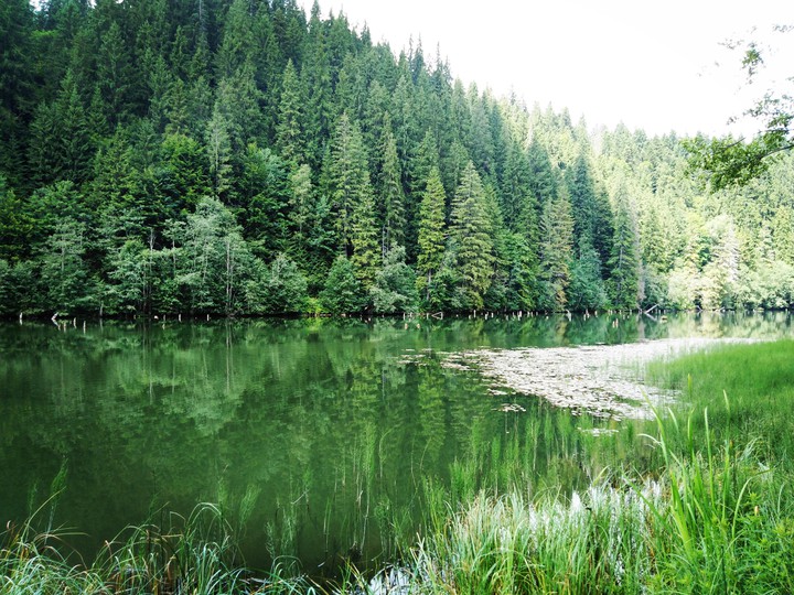 Red lake