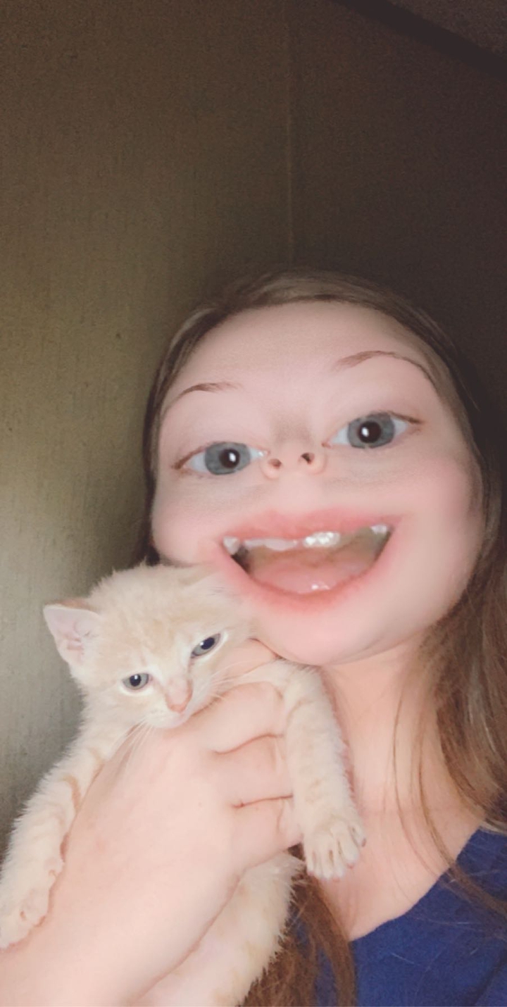 look at my cat