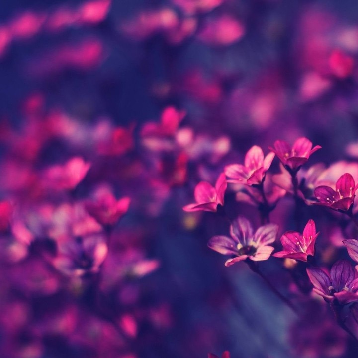 ♥