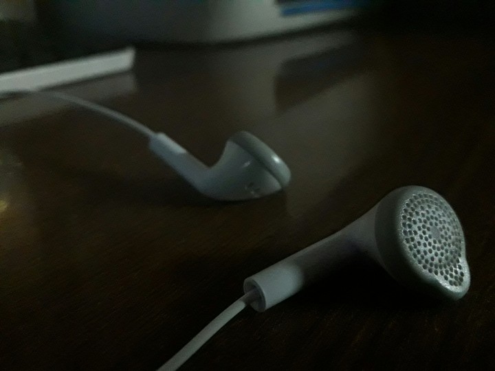 Earphones