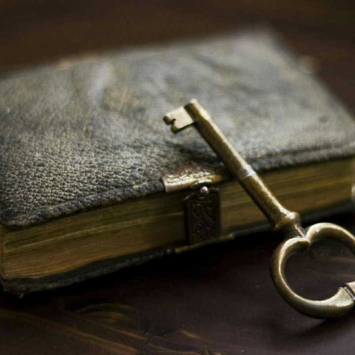 secret diary