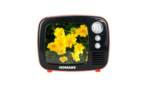 Television