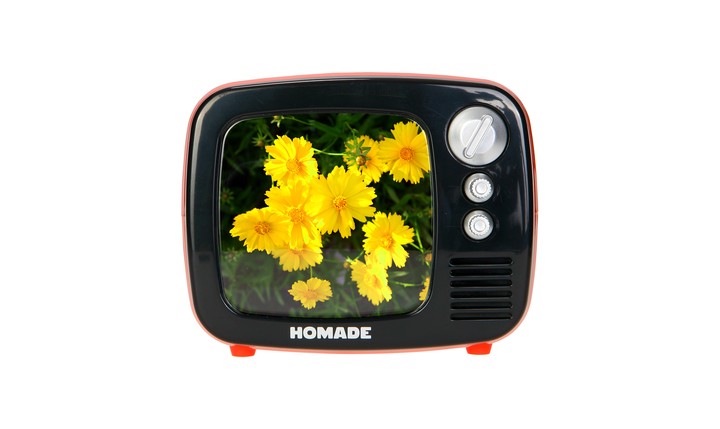 Television