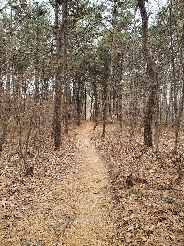곧