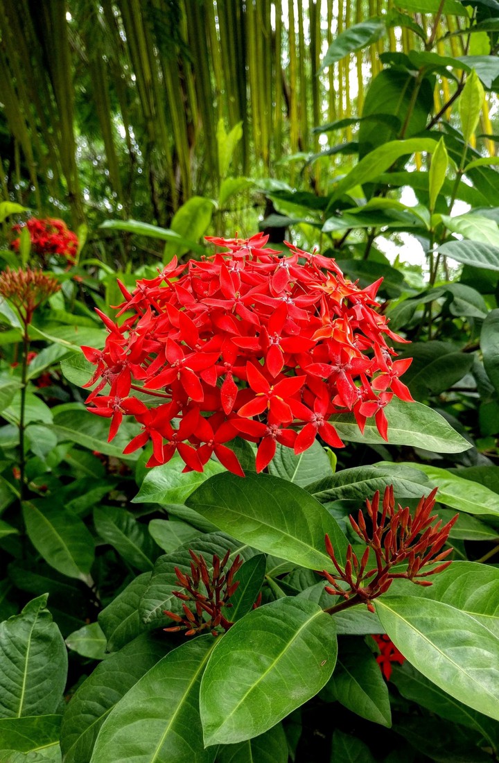 The Beauty of Nature