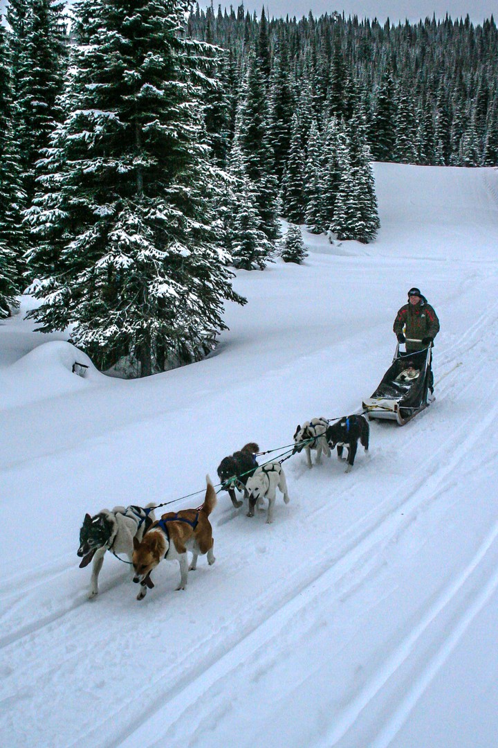 snow sled
