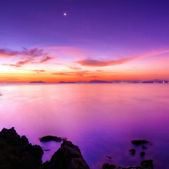 purple night