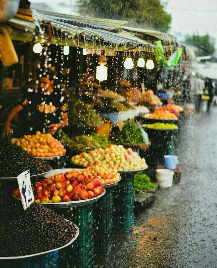 Rain