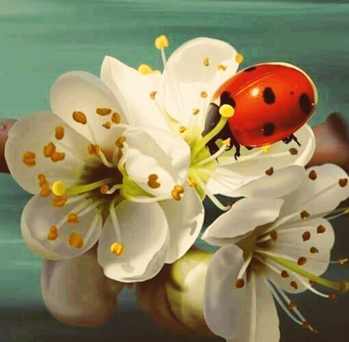 is flower