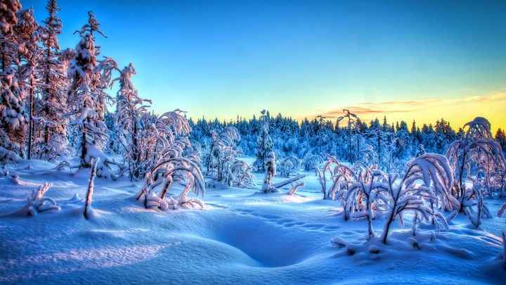 Winter