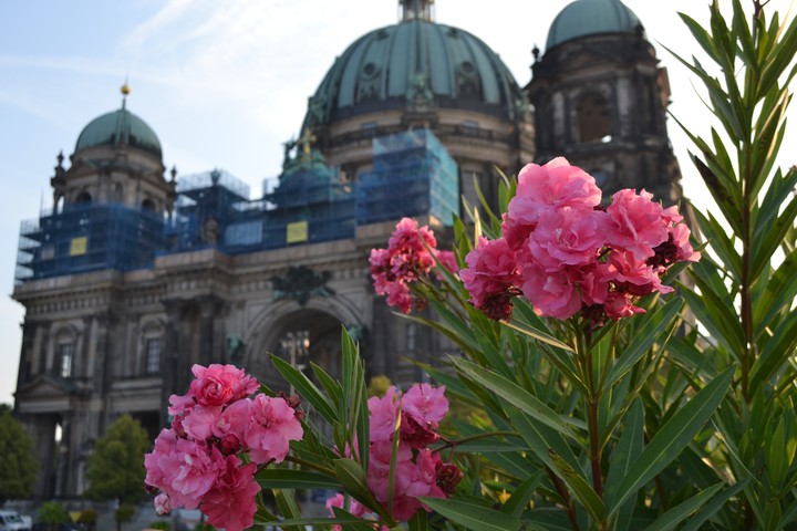 Berlin cathedral
