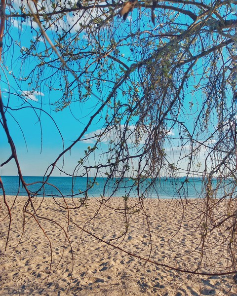 sea horizon