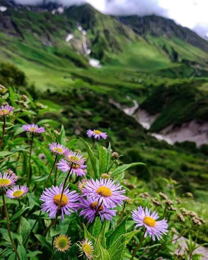 nature