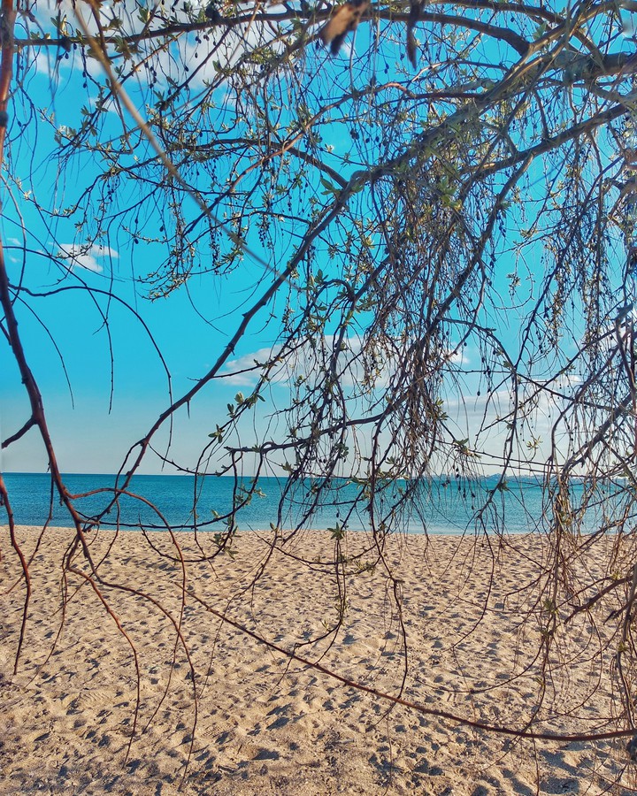sea horizon