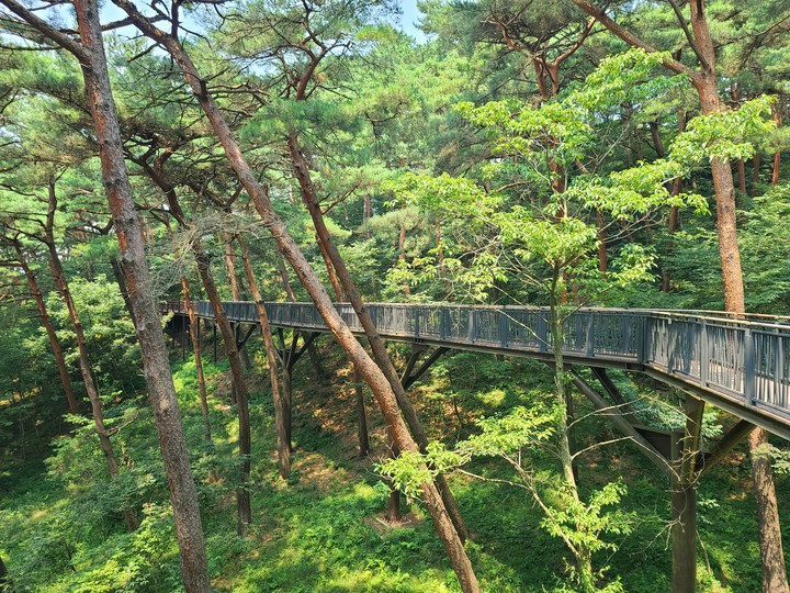 안면도 수목원