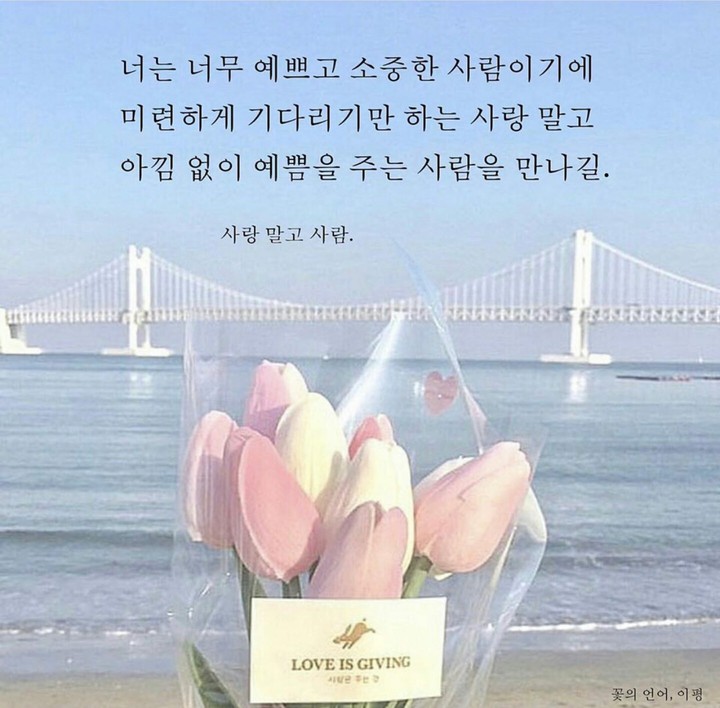 이야기