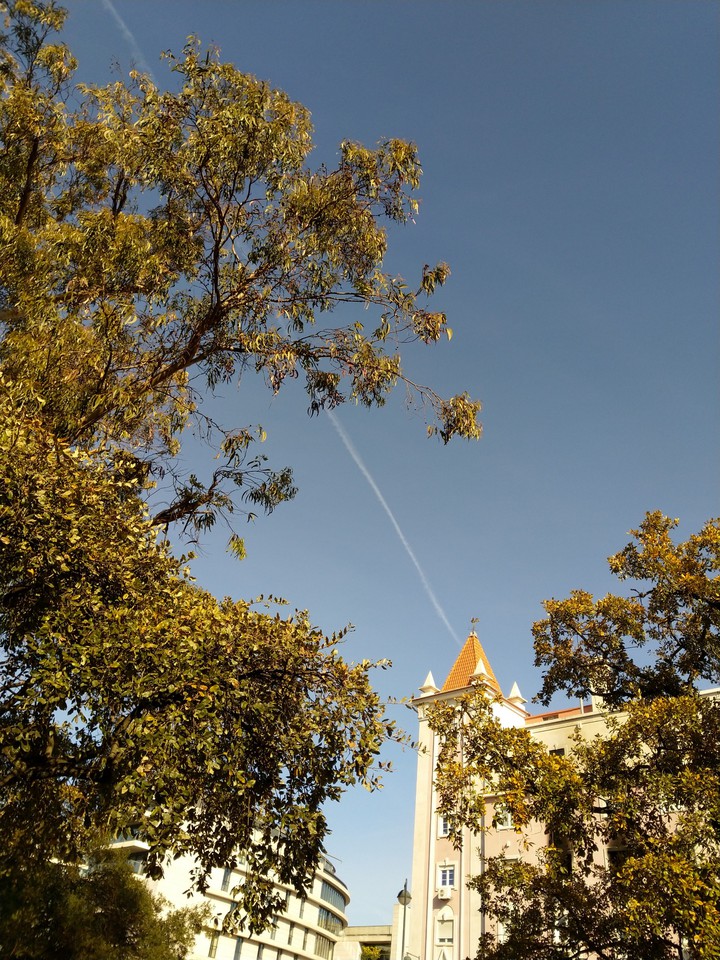 Lisbon