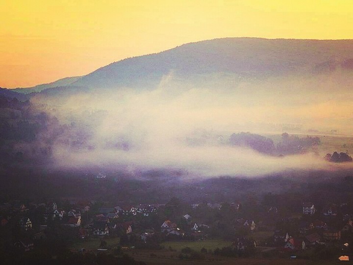 Fog
